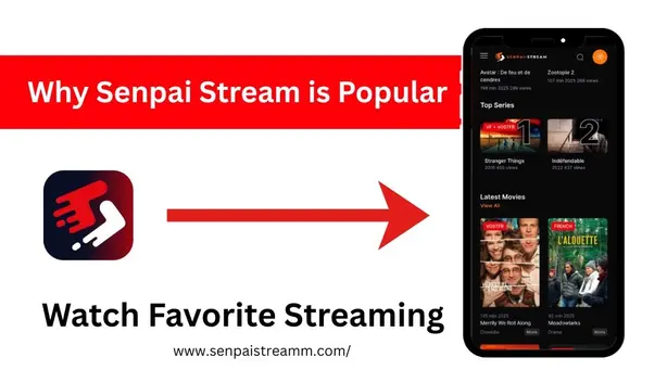 Why Senpai Stream Is Popular in France.